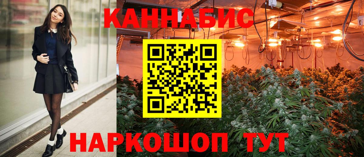 Бошки марихуана планчик Беслан